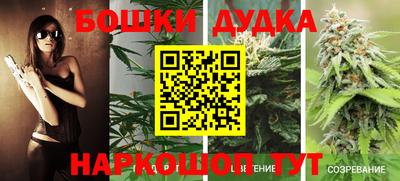 Альфа ПВП Обнинск