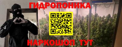 Альфа ПВП Обнинск