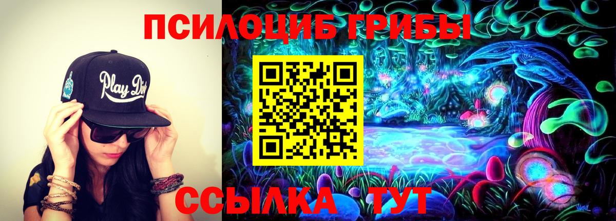 Сокол  Псилоцибиновые грибы прущие грибы  Вход с VPN 